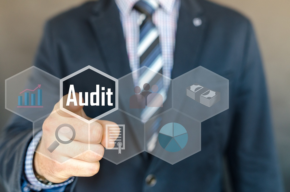 Abbildung 11: Qualitätsmanagement-Auditor